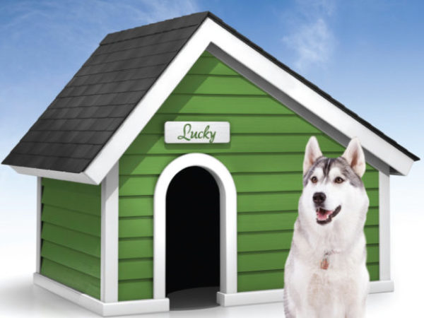 Ideal Doghouse
