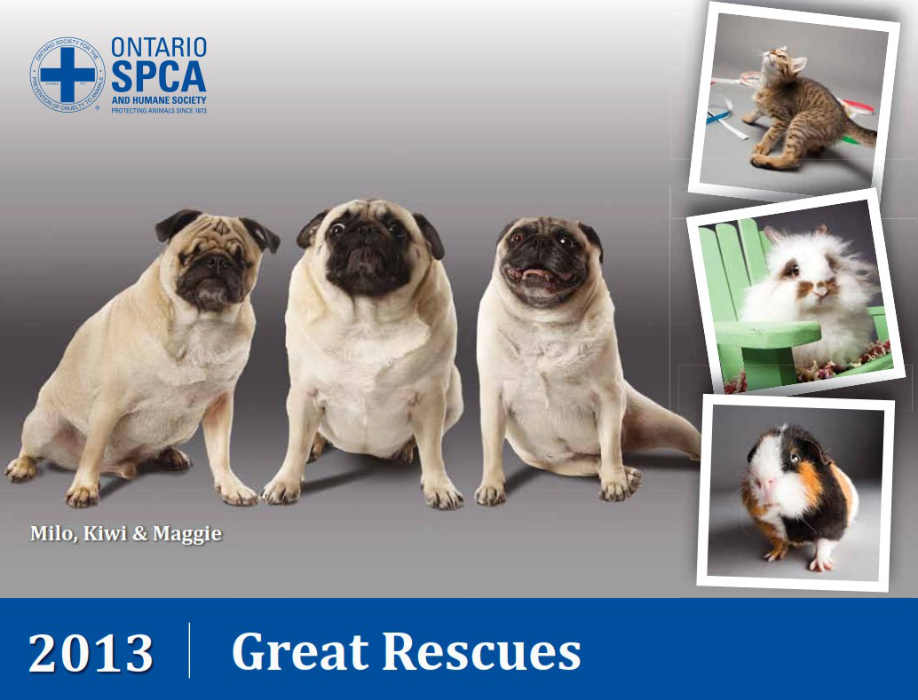 Ontario SPCA Calendars Make a Great Gift Ontario SPCA and Humane Society
