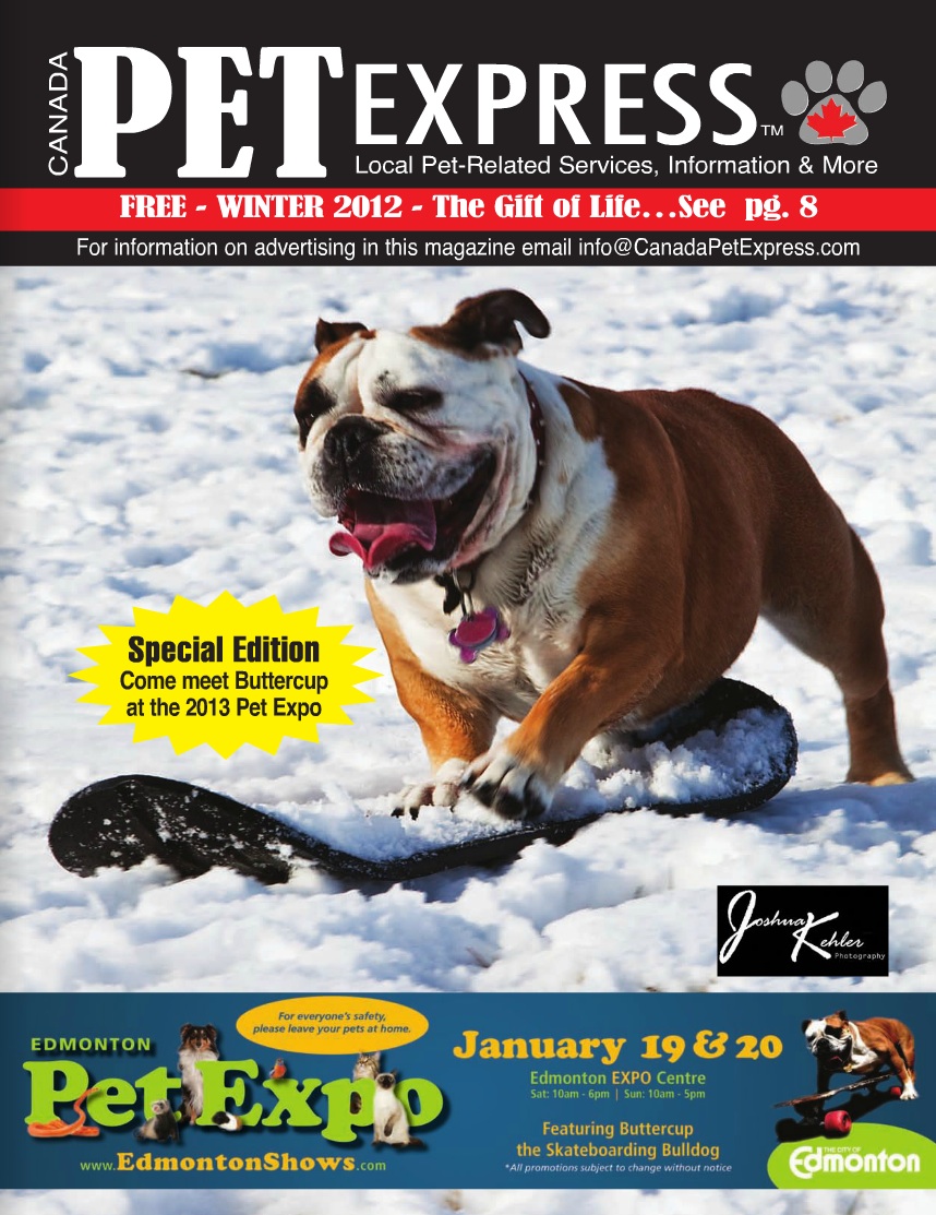 Canada Pet Express…You Have Our Facebook Like! Ontario SPCA and