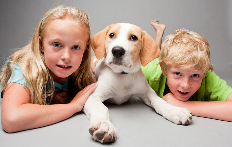 I’m bored! Things to do for kids and pets. - Ontario SPCA and Humane ...