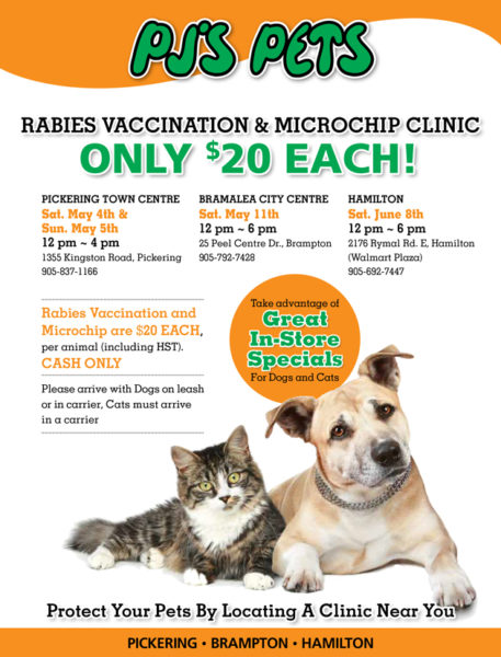 Rabies Vaccination Microchip Clinic Ontario SPCA And Humane Society   Rabies 3 1 457x600 