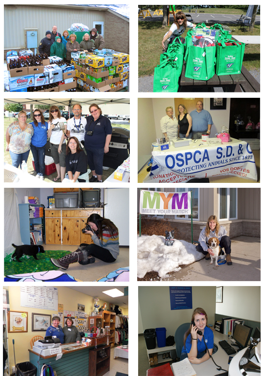 Happy National Volunteer Week! Ontario SPCA and Humane Society