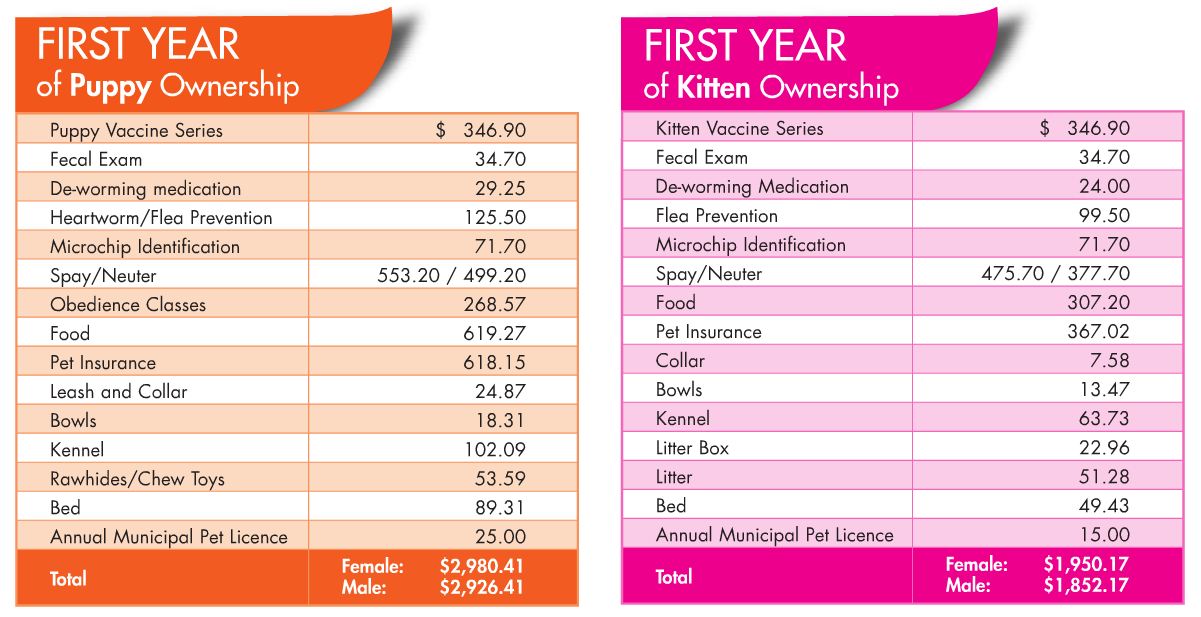 annual cost of dog food