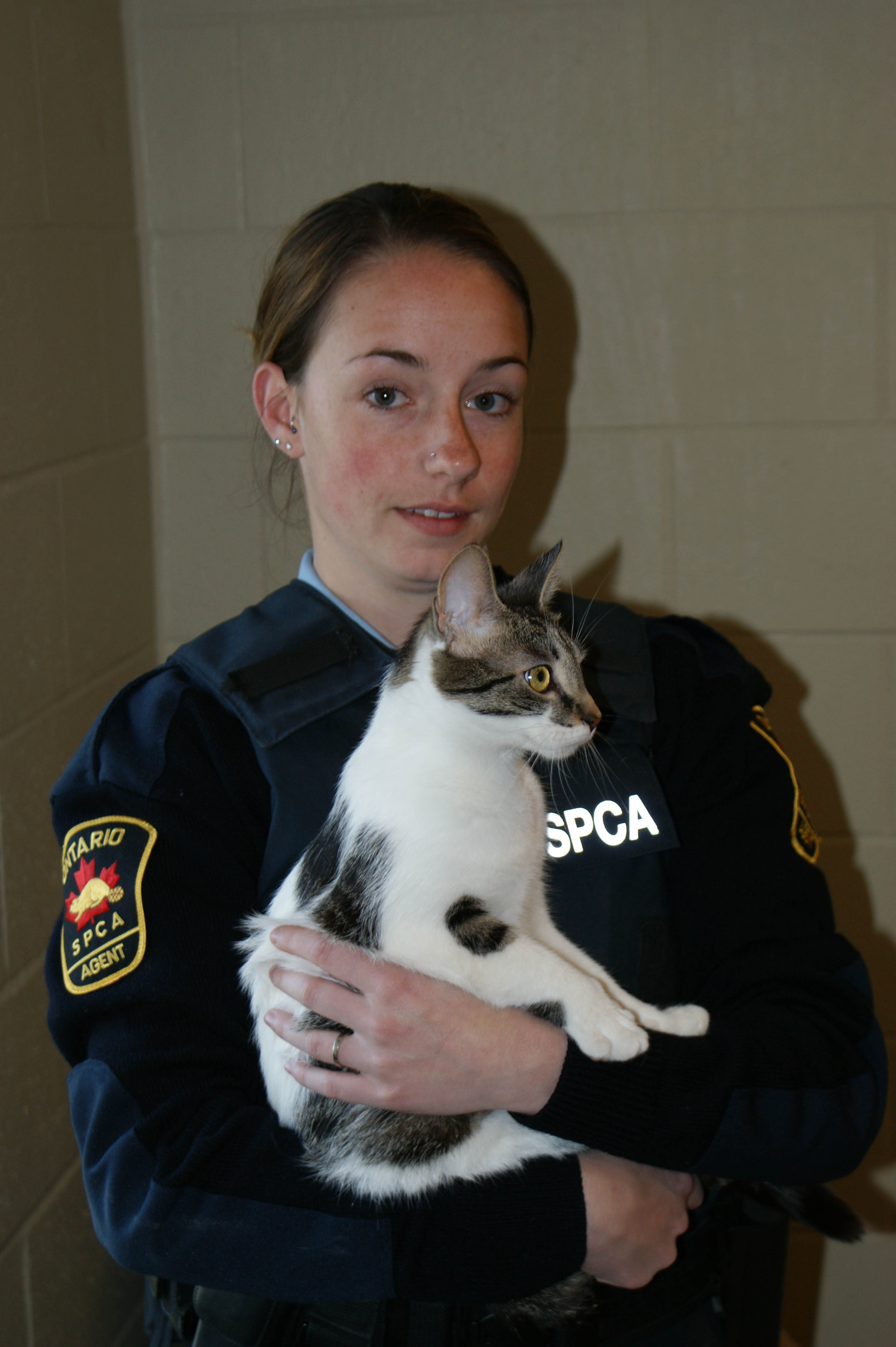 role-of-the-ontario-spca-officer-ontario-spca-and-humane-society