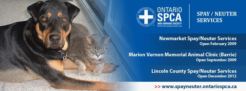 Ontario SPCA Spay/Neuter Services – New Website! - Ontario SPCA and - Services Offered By Ontario Spay And Neuter