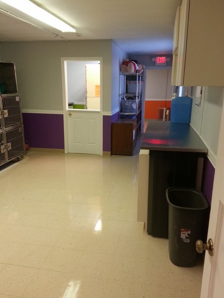 Pembroke’s Home Depot Renovates Ontario SPCA Renfrew County Branch’s