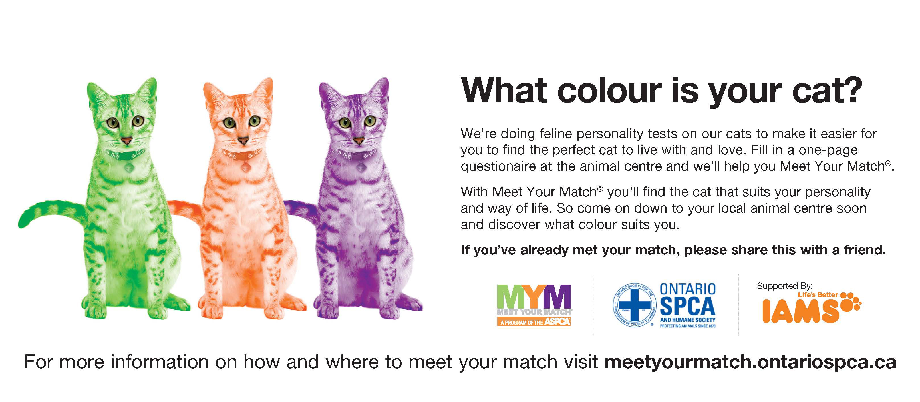 april-is-meet-your-match-month-ontario-spca-and-humane-society