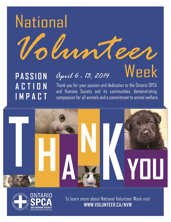 Happy National Volunteer Week! Ontario SPCA and Humane Society