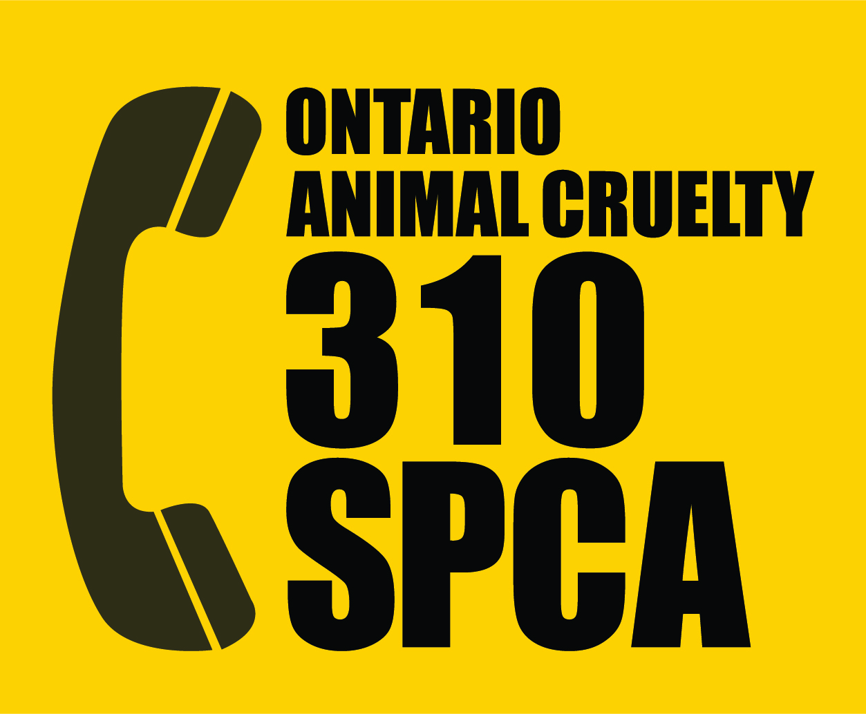 PAWDCAST 310SPCA New ProvinceWide, TollFree, 24Hour Phone Number