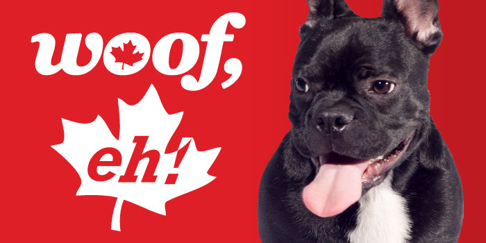 Happy Canada Day! - Ontario SPCA and Humane Society