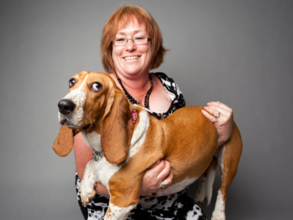 adopter with basset hound