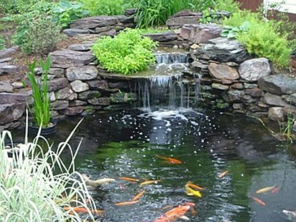pond-with-stone-waterfall-and-koi
