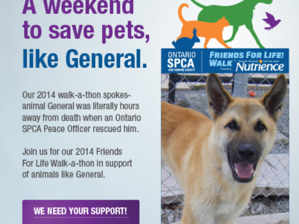 Ontario SPCA Friends for Life! Walk poster