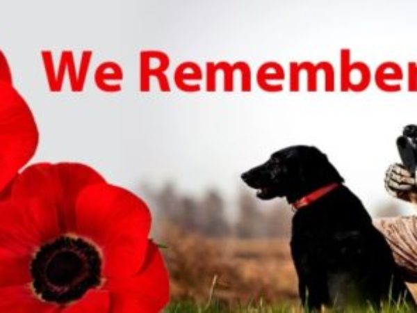 soldier with dog for remembrance day