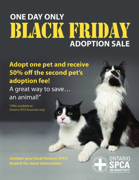 Black Friday Adoption Sale! - Ontario SPCA And Humane Society