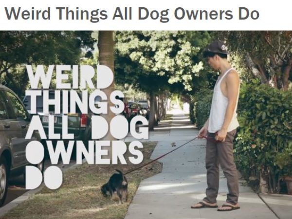 Weird things all dog owners do
