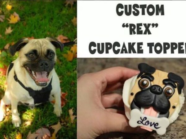 Pet inspired puppy cupcake