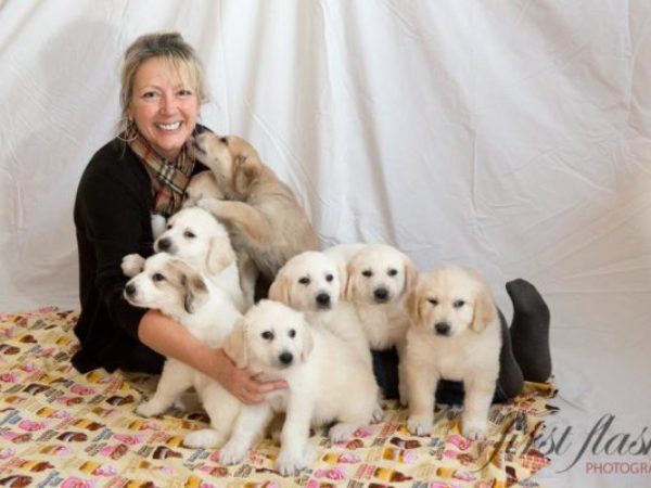 Foster mom with eight puppies in Renfrew