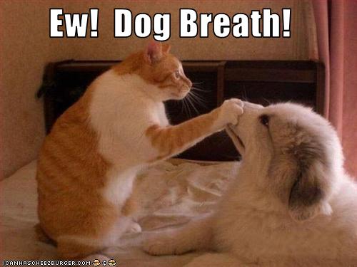 dog breath