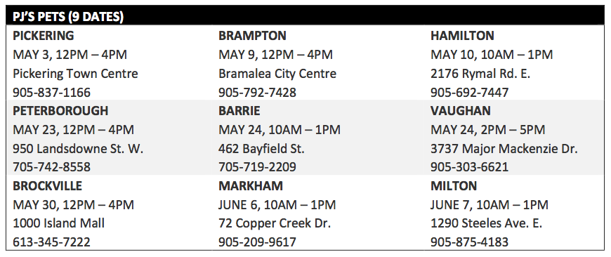 Low-Cost Rabies Vaccination and Microchipping Clinic - Ontario SPCA and