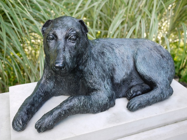 The powerful story of Beautiful Joe Ontario SPCA and