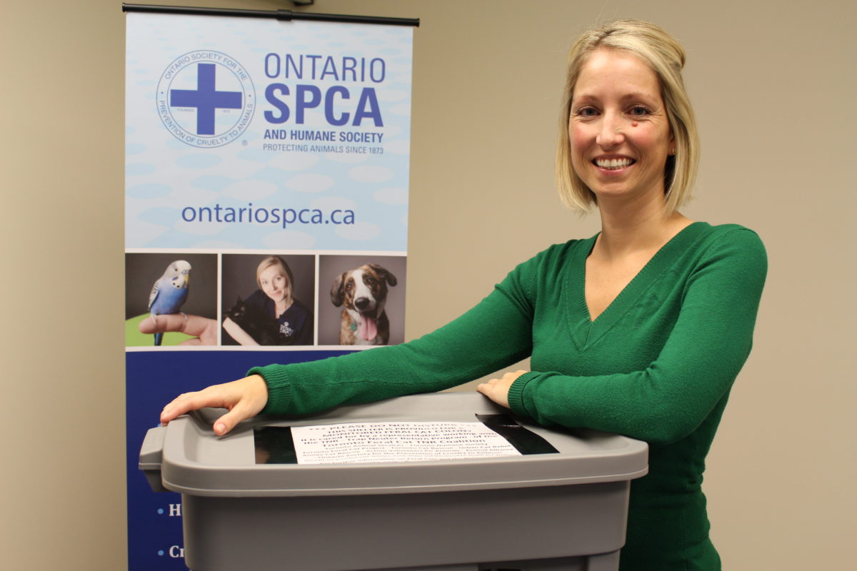 How to build a feral cat shelter 101 Ontario SPCA and Humane Society