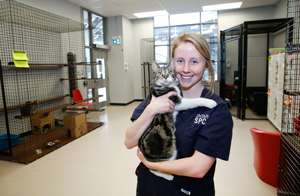 Opening: Markham’s Cat Adoption & Education Centre (CAEC) - Ontario ...