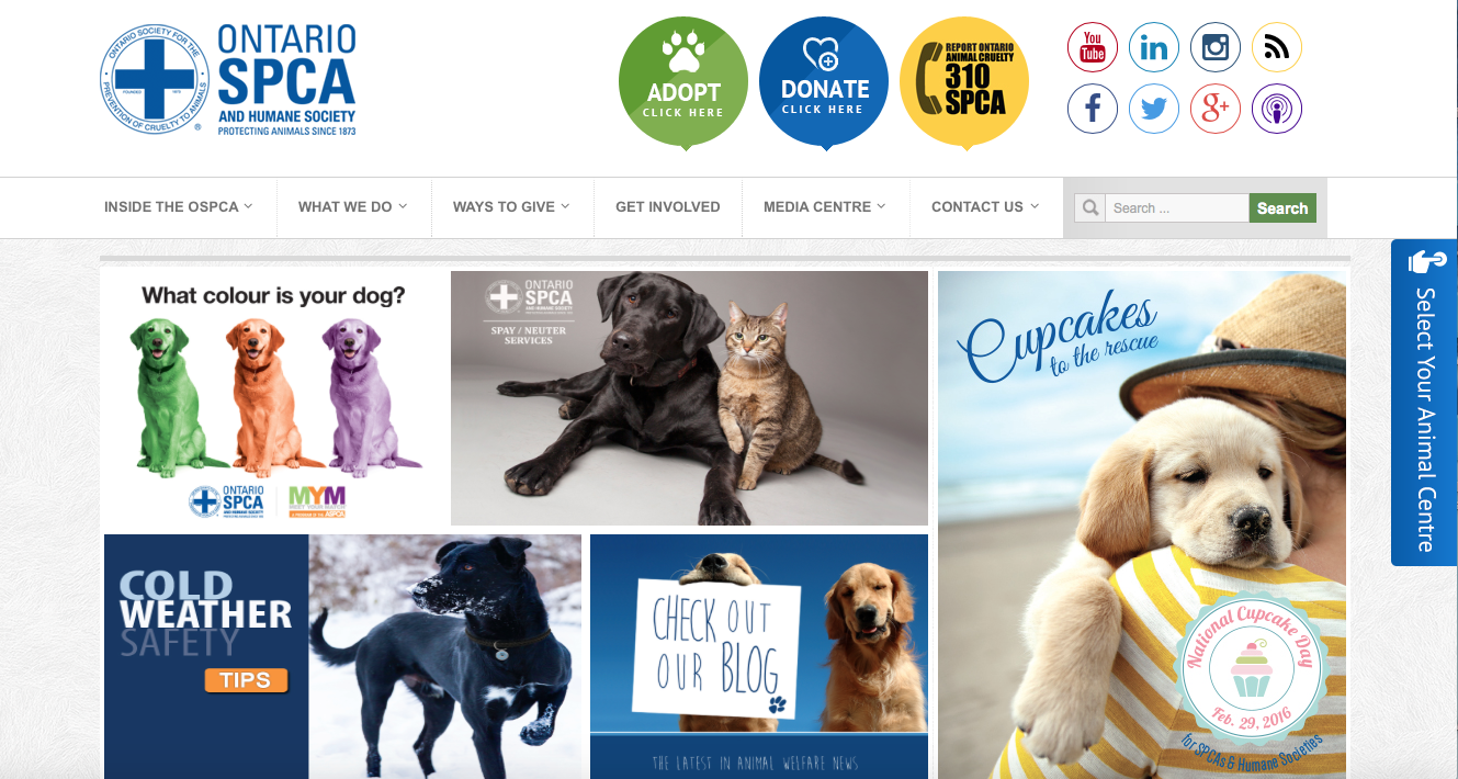 Check it out! Ontario SPCA has a new website Ontario SPCA and Humane