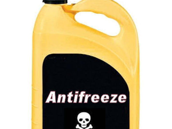 Antifreeze