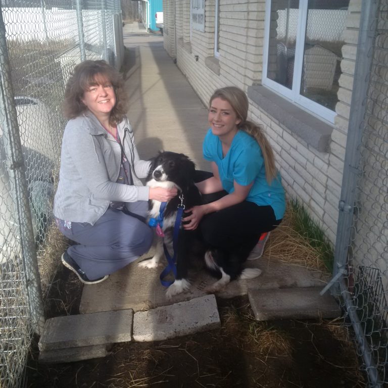 From Whitefish Bay to Ottawa Finding a forever home for From Whitefish Bay to Ottawa Finding a forever home for