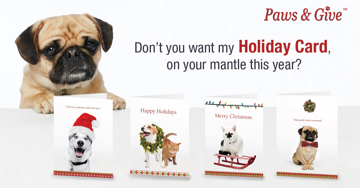 Holiday cards that give back to animals in need! Ontario SPCA and