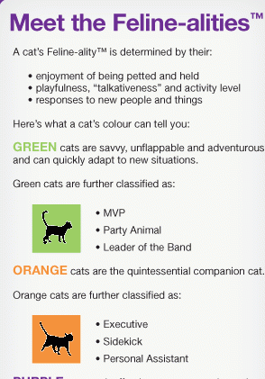 Feline-ality 101: Get deep with your kitty! - Ontario SPCA and Humane ...