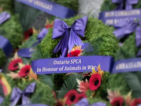 animals in war, wreath, National Remembrance Day Ceremony