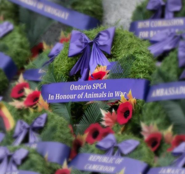 Ontario SPCA laying wreath at National Remembrance Day Ontario SPCA laying wreath at National Remembrance Day