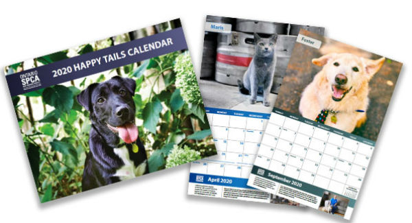 2020 Happy Tails Calendar, gifts that give back