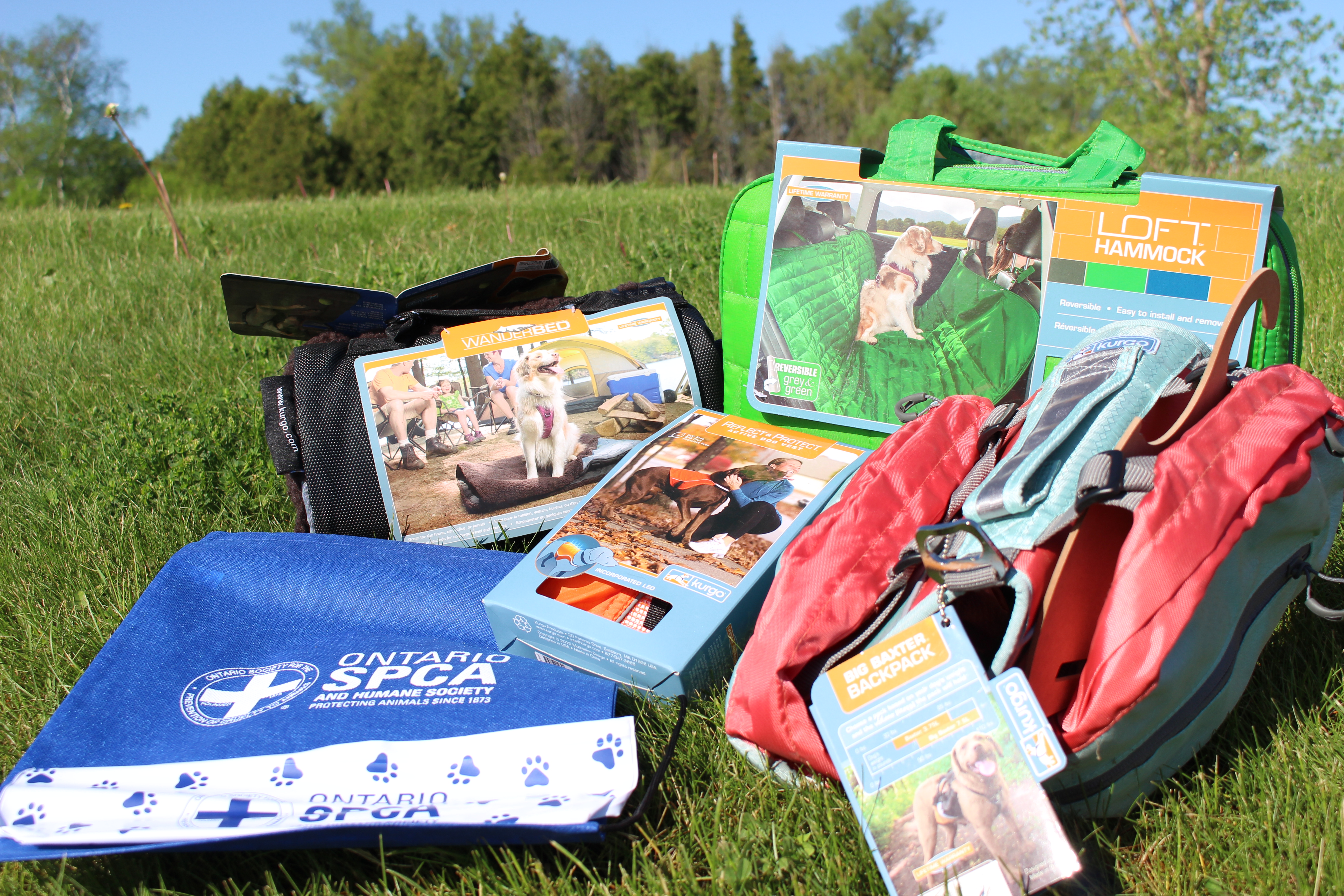 It’s time for Dad’s to go viral. Enter our Father’s Day contest