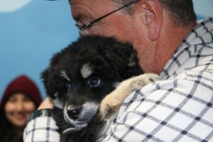 Man holds dog at spay/neuter clinic.