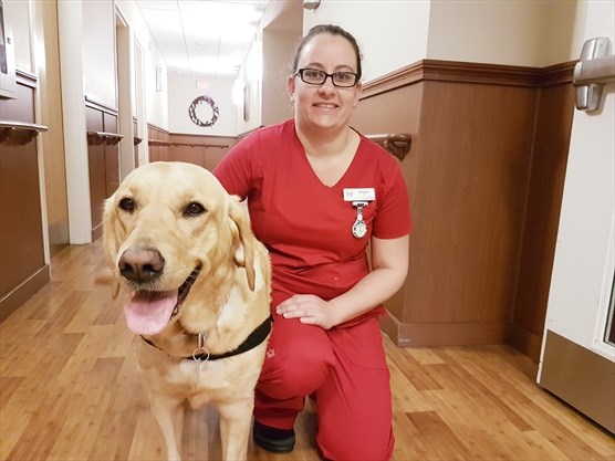 Facility dog gives hope to Hospice Simcoe patients and staff - Ontario ...