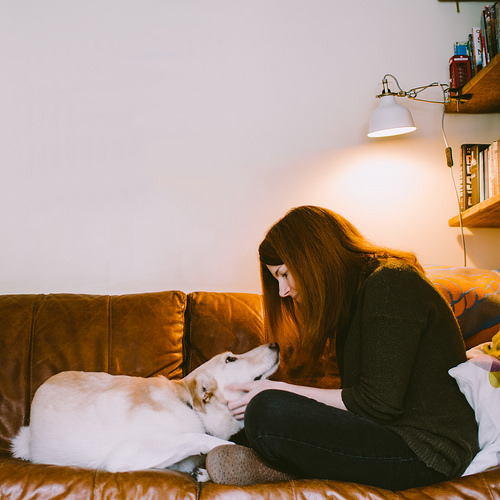 Tips for bringing your new dog home Ontario SPCA and Humane Society