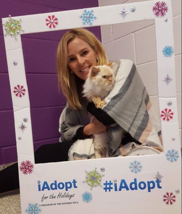 adopt it forward, ontario SPCA, cat adoption, adopt a cat, cats, cat