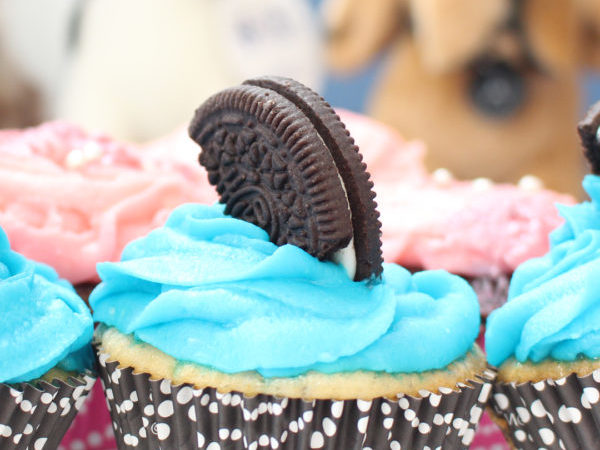 national cupcake day, cupcakes, cupcake day, ontario spca, pets, pet, fundraise, fundraising