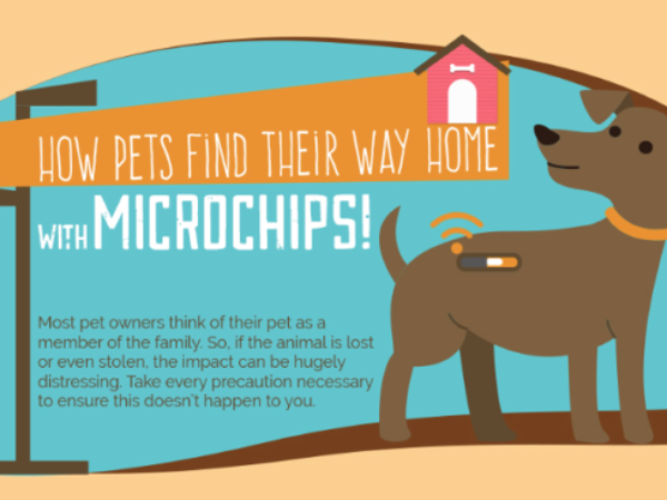microchips, microchip, greyhounds as pets