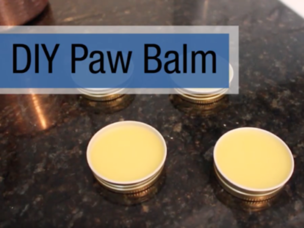DIY Pet paw balm