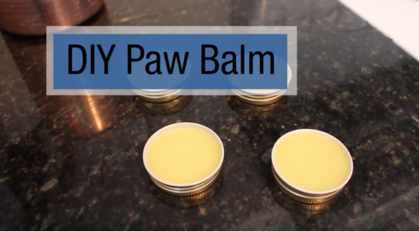 Homemade dog 2025 paw balm