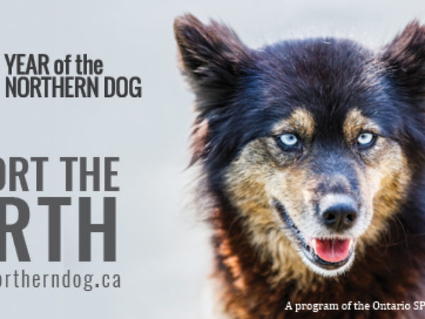 support the north, northern dogs, ontario spca, spca