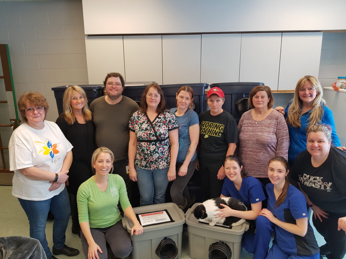 City of Oshawa Animal Services are stepping up to help
