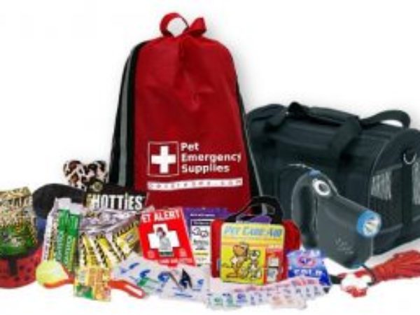 ep week, Emergency Preparedness Kit.