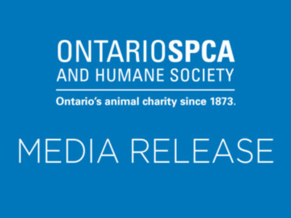 online tool, media releases, ontario spca media release