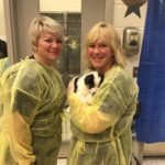 northern animal summit, sudbury, puppies