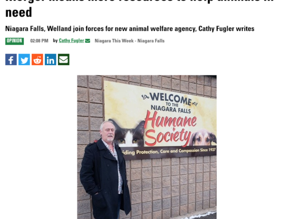 Niagara Falls and Welland merge to create new animal welfare agency.